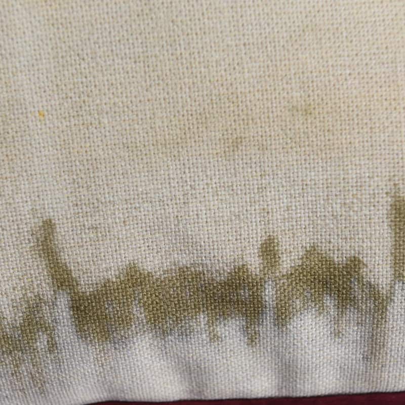 StyleCraft Austin Allen James - Gulf Coast Star - Printed On Natural Linen