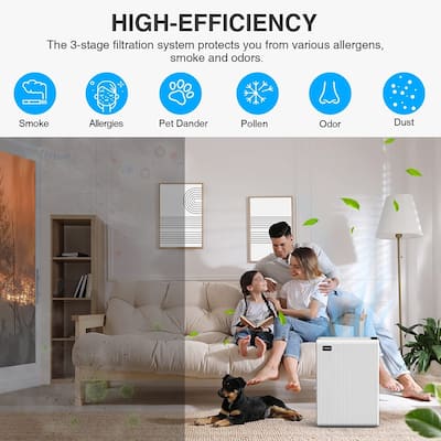 Air Purifiers for Large Room,100% Ozone Free Quiet Air Cleaner,White
