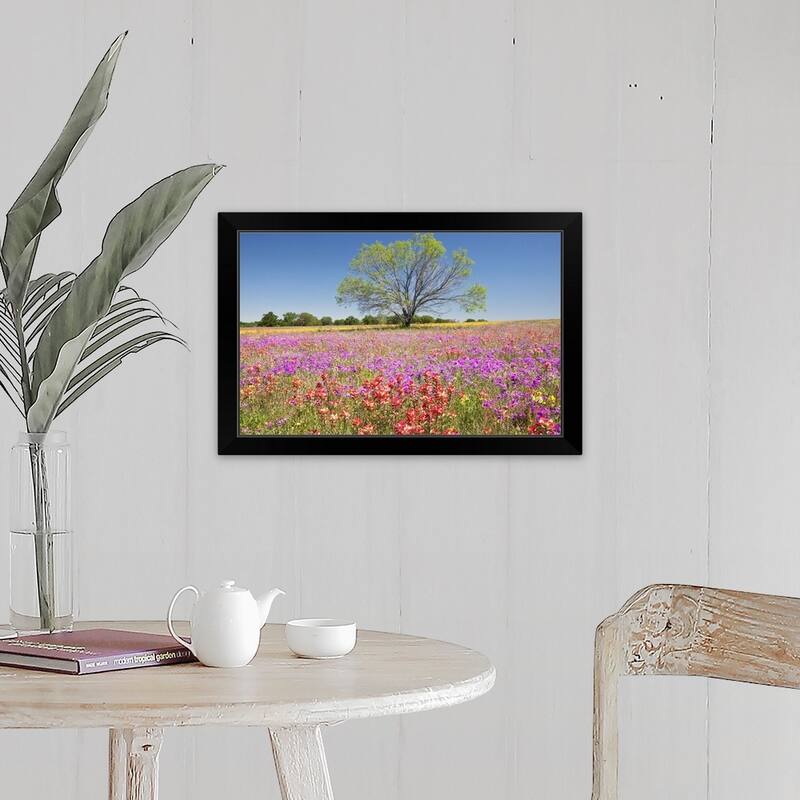 "Spring mesquite trees growing in wildflowers, Texas, USA, North America" Black Framed Print - 24 x 16