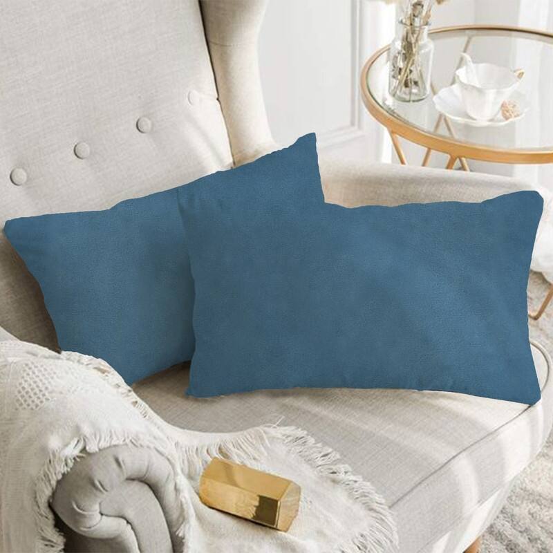 A1HC Pack of 2 Velvet Throw Pillow Insert, Hypoallergenic Down Alternative Fill