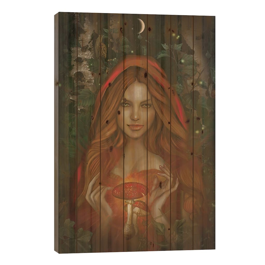 Amanita Print On Wood by Nettsch - Multi-Color