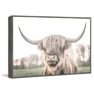 Cattle Portrait Floater Framed Print on Canvas