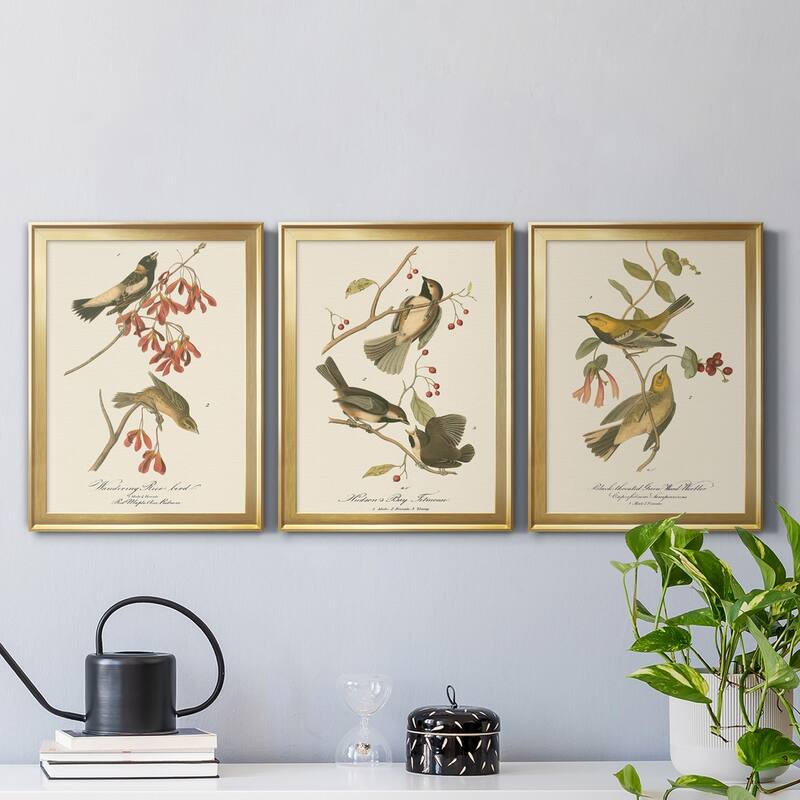 Wandering Rice Bird Premium Framed Canvas - Ready to Hang - Multi-Color