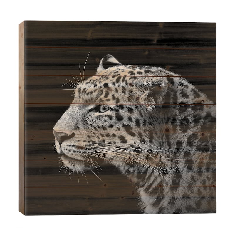 Leopard In Black & White I Print On Wood by Lukas Holas - Multi-Color - 26x26x1.5