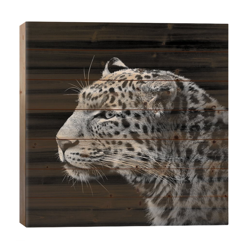 Leopard In Black & White I Print On Wood by Lukas Holas - Multi-Color
