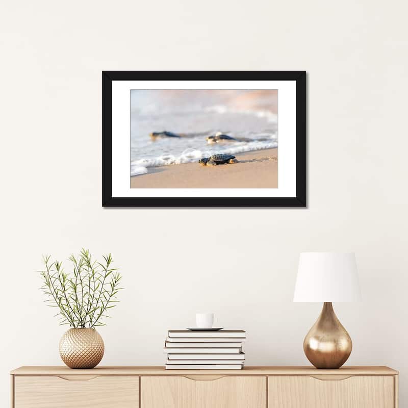 iCanvas "Kemp's Ridley Sea Turtle hatchling I" by Larry Ditto