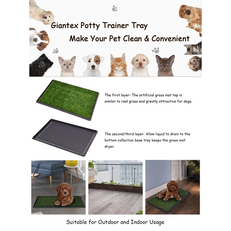 puppy potty training grass mat