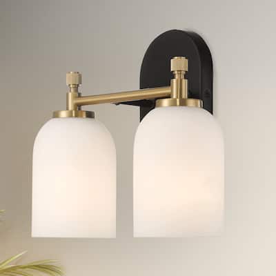 Asok Frosted Glass Dual Vanity Wall Sconce