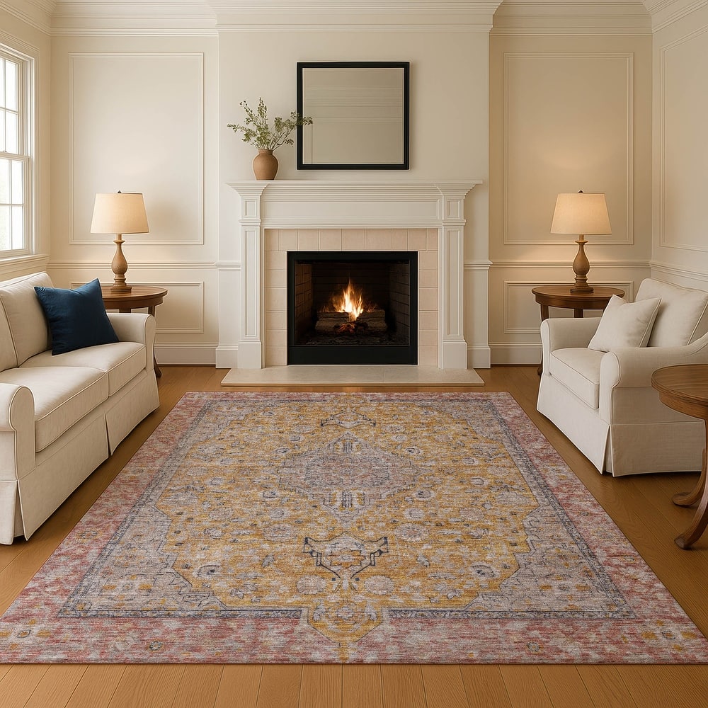 Premium Washable Super Soft Vintage Traditional Mayfield Rug