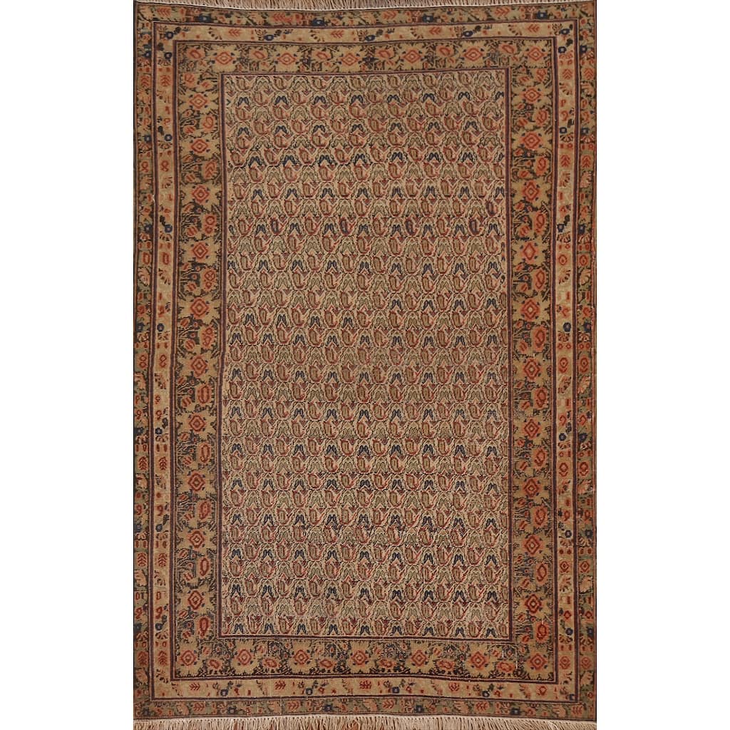 Pre-1900 Antique Afshar Persian Area Rug Vegetable Dye Wool Carpet - 4'0"x 6'1"