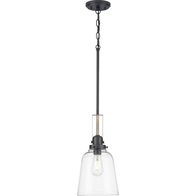 Rushton Collection 1-Light Graphite Clear Glass Industrial Pendant Hanging Light - 8.5 in x 8.5 in x 16.87 in