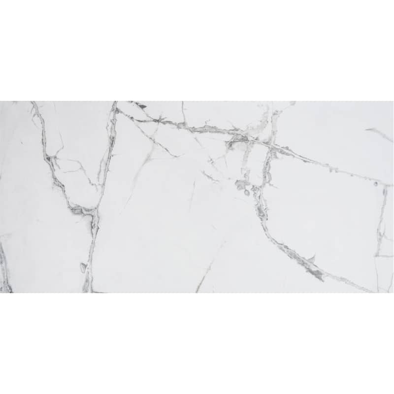 Penthouse 12x24 Polished Porcelain Tile - Floor, Wall - Large Format