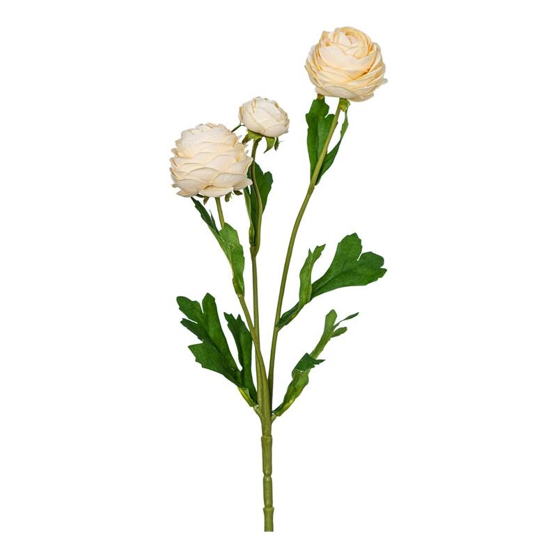 Champagne Silk Decorative Artificial Persian Buttercup Rose Flowers