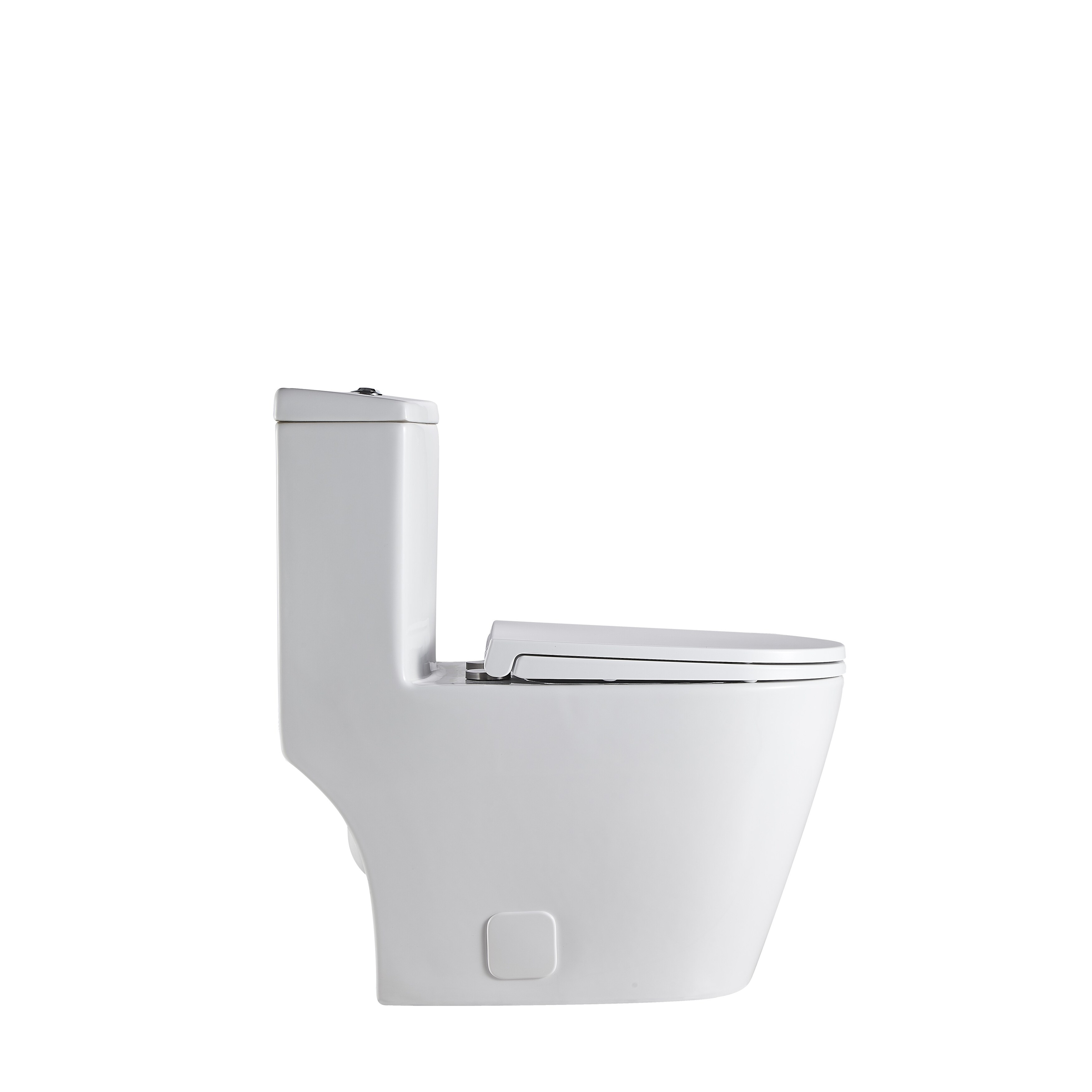 1 piece toilet