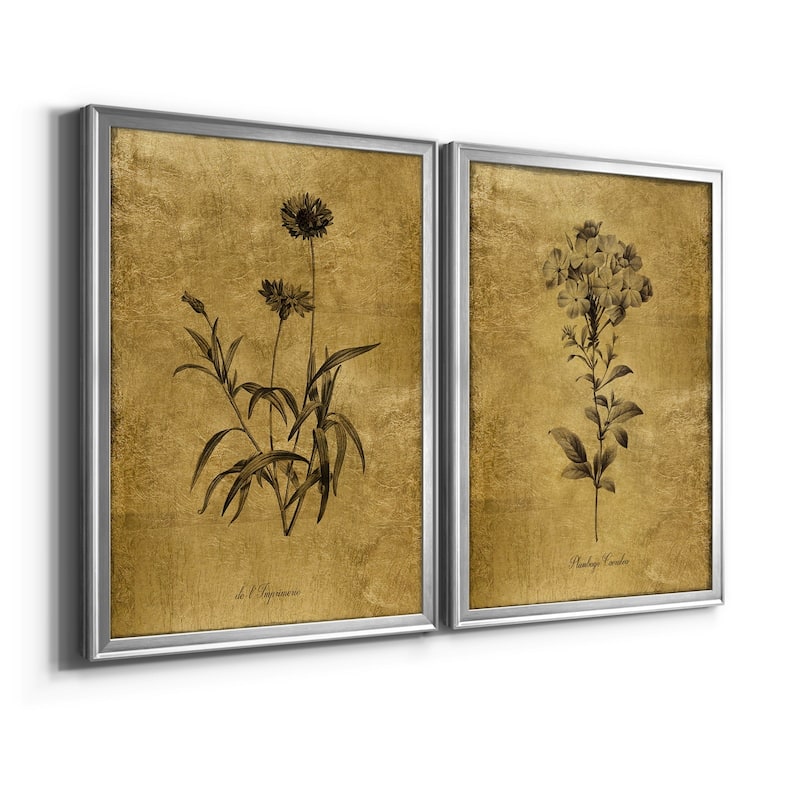 Gold Sketch Botanical I Premium Framed Print - Ready to Hang - Multi-Color