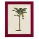 preview thumbnail 12 of 137, UA CH British Palms III -Framed Print w/glass-Cherry Red 9x11 - Red