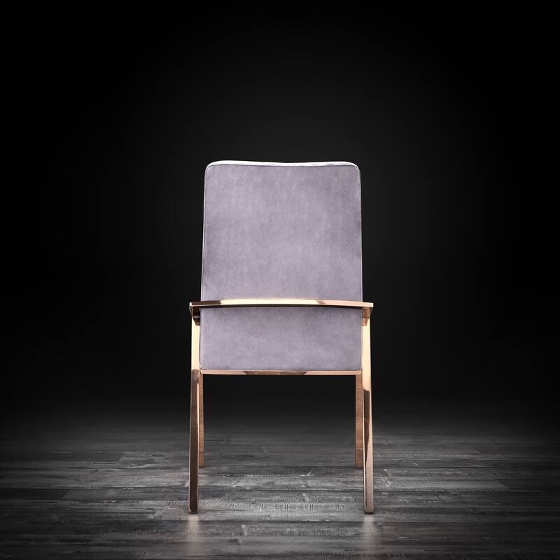 Nolan Rose Gold Stainless Steel Dining Chair, Set of 2