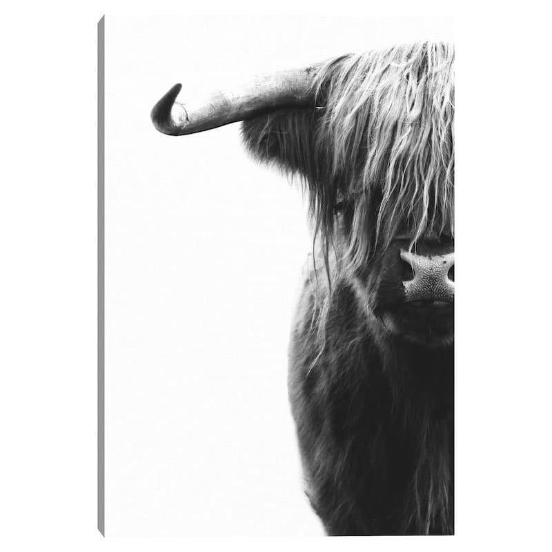 No Bull by Belle Maison Canvas Art Print