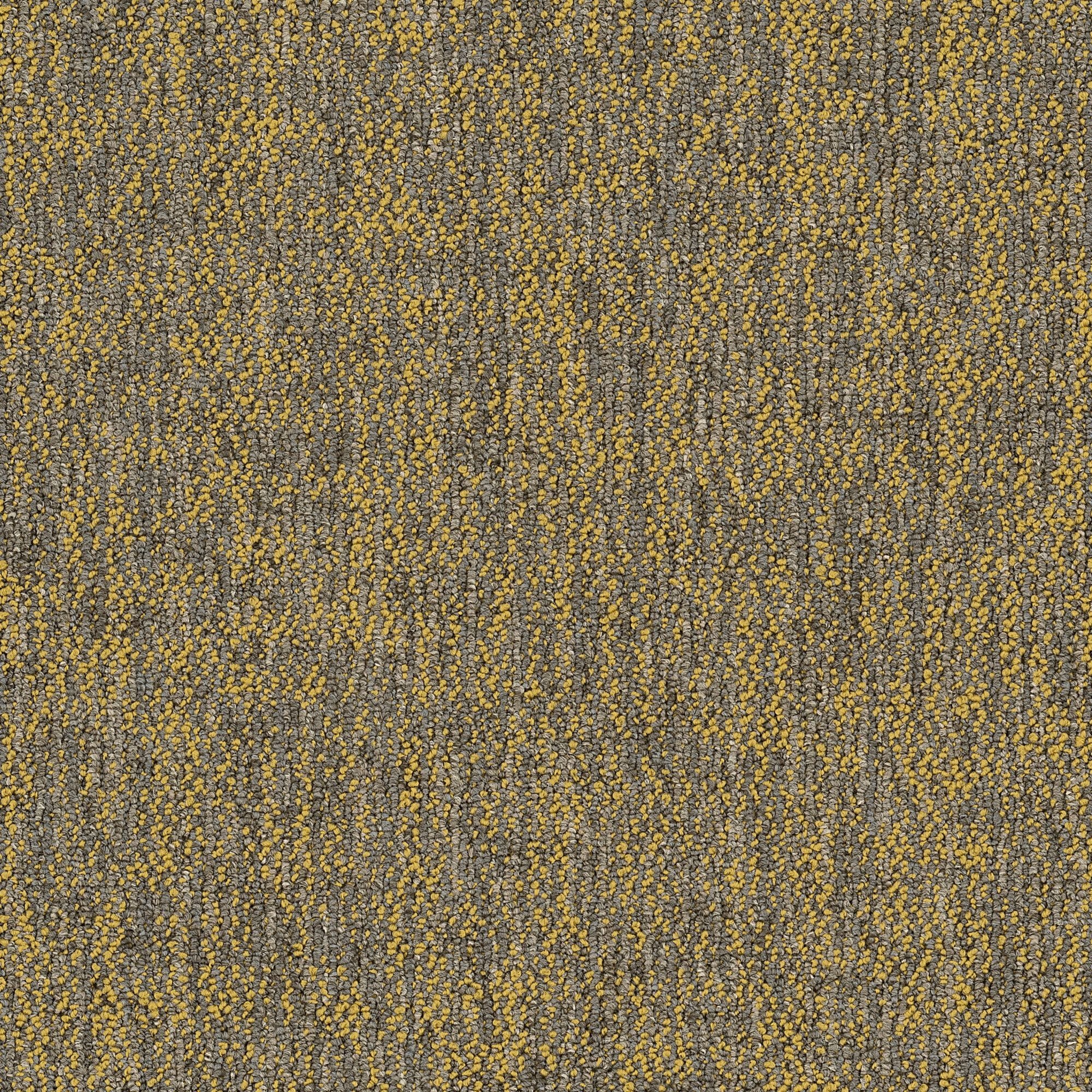 Shaw Philadelphia Commercial Crazy Smart 18" x 36" Glue Down Carpet