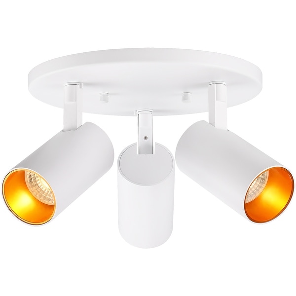 Dimmable/N LED COB Ceiling Lamp Picture Light Adjustable Spotlight Flush Mount 