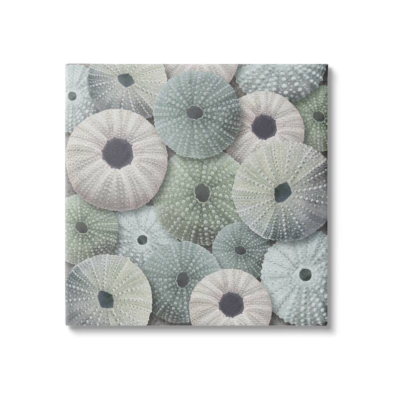 Stupell Abstract Sea Urchins Canvas Wall Art Design by LSR Design Studio - 24 x 24