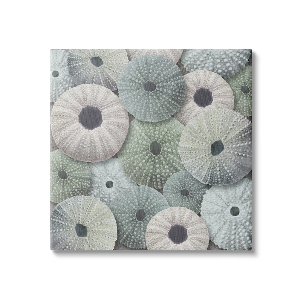Stupell Abstract Sea Urchins Canvas Wall Art Design by LSR Design Studio