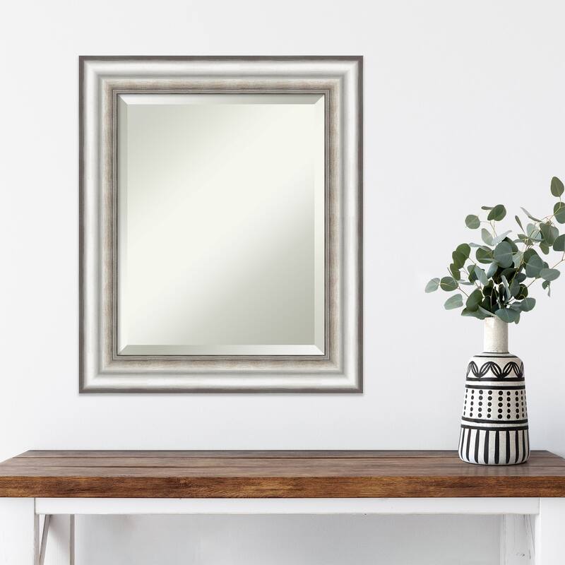 Beveled Wall Mirror - Salon Silver Frame - Salon Silver