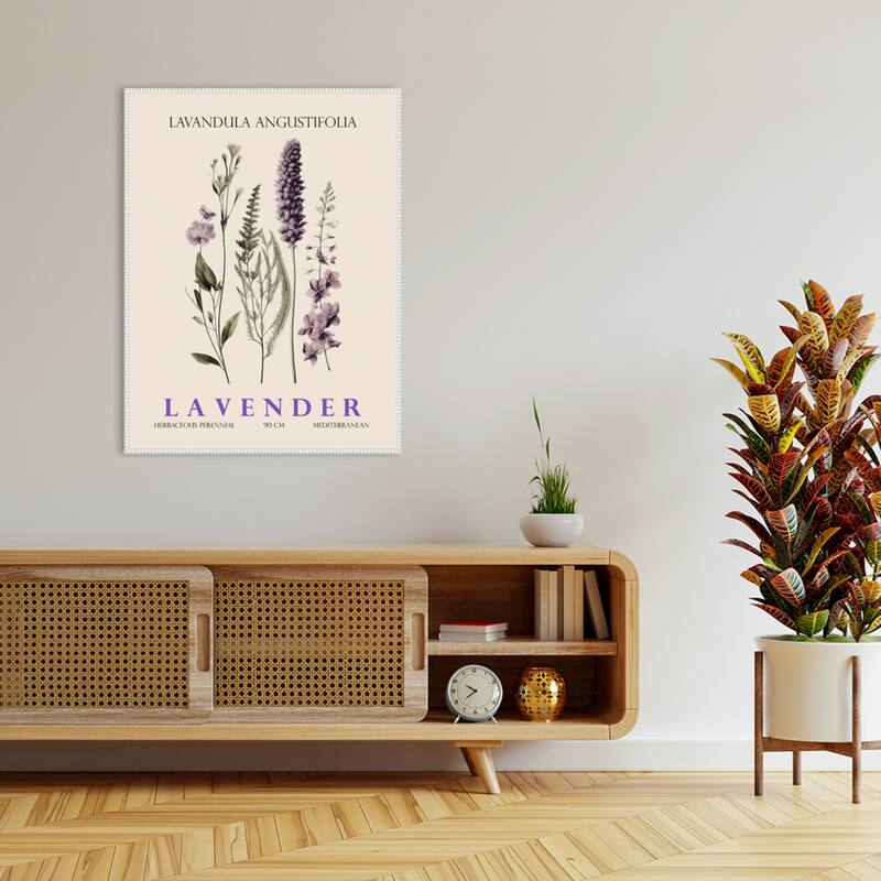 Vintage Botanical Lavender No. 2 Illustration by Christopher Giampietro Framed Canvas Wall Art Print