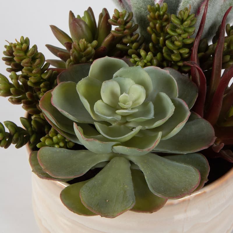 Uttermost Mesa Succulent Accent - 10"W x 9"H x 10"D