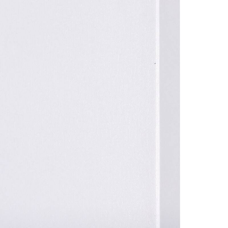 Ikebana Light II (30 x 40) Canvas Art Print