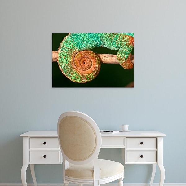 Easy Art Prints David Northcott's 'Rainbow Panther Chameleon I' Premium Canvas Art