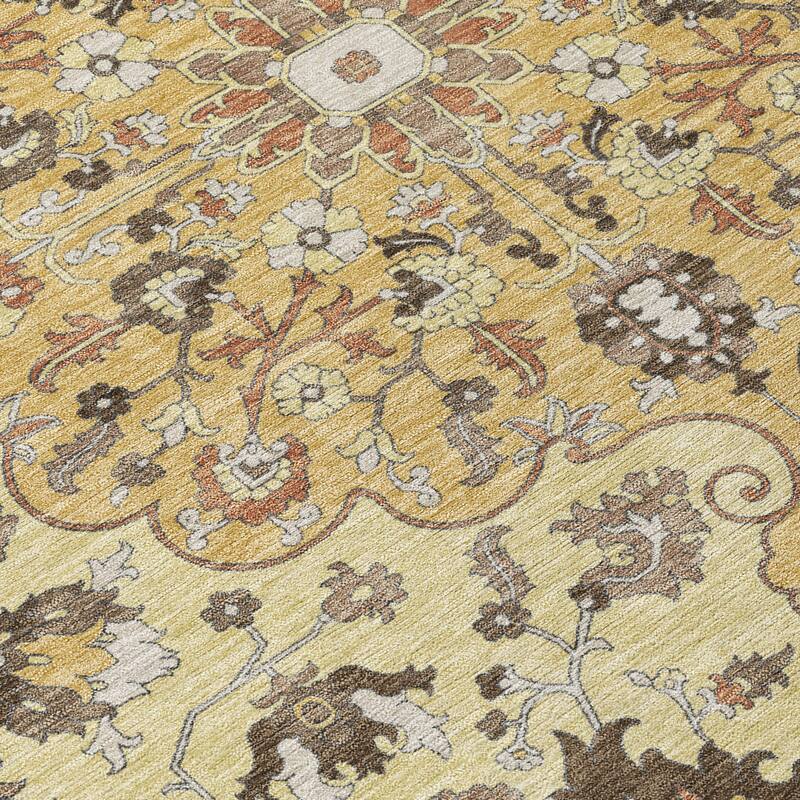 Machine Washable Indoor/ Outdoor Traditional Indore Chantille Rug