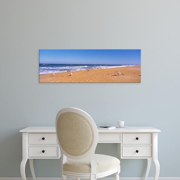 Easy Art Prints Panoramic Images's 'Flock of birds on the beach, Flagler Beach, Florida, USA' Premium Canvas Art