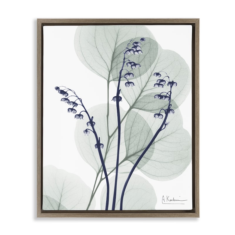 Stupell Serene Modern Eucalyptus Framed Floater Canvas Wall Art Design By Albert Koetsier - 25 x 31 - Brown
