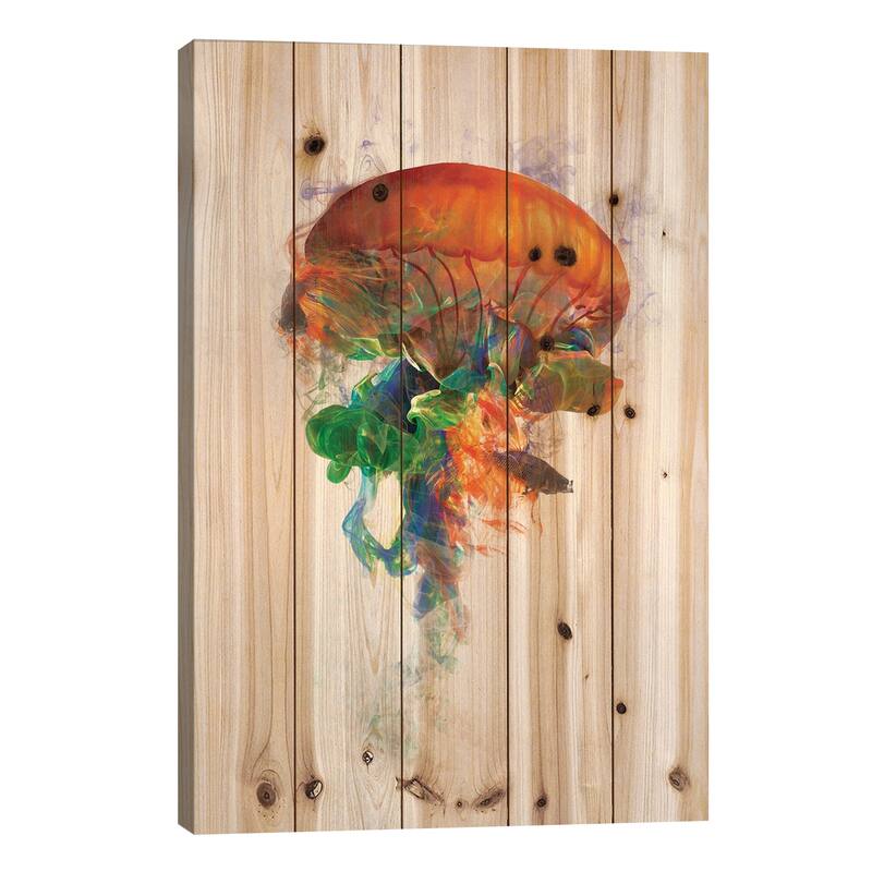 Jellyfish Ink Print On Wood by Dániel Taylor - Multi-Color - 26x18x1.5