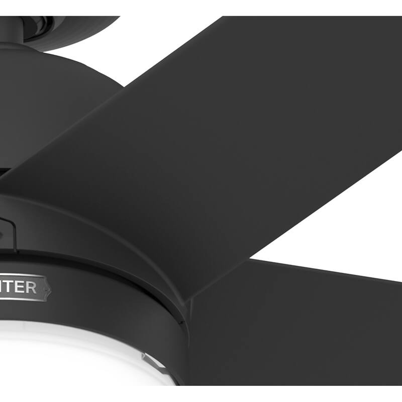 Hunter 52" Lagoon WeatherMax Outdoor Ceiling Fan w/ LED Light, Wall Control - Extreme Weather! Corrosion & Salt-Air Resistant!