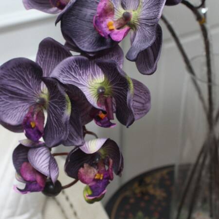 Shop Floralgoods Silk Butterfly Orchid Stem In Dark Purple 37 Tall Overstock 14156795