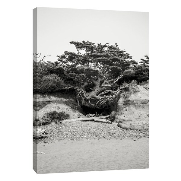 PTM Images 9-105190 PTM Canvas Collection 10" x 8" - "Beach Tree, Kalaloch" Giclee Beaches Art Print on Canvas