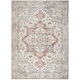 preview thumbnail 9 of 88, Nourison Astra Machine Washable Distressed Area Rug 5' 3" x 7' - Gray/Multi
