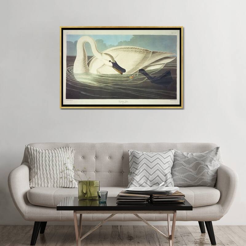 iCanvas "Trumpeter Swan " by John James Audubon Framed Canvas Print