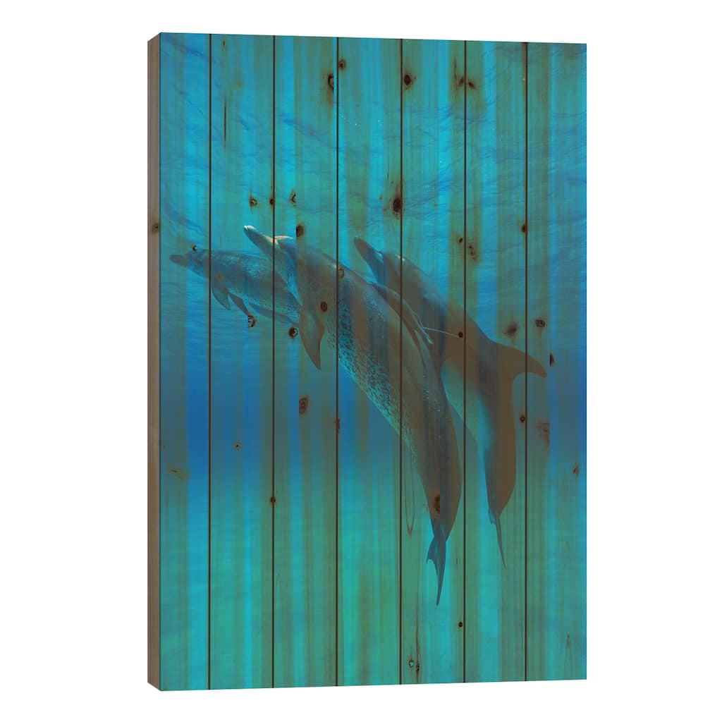 Atlantic Spotted Dolphin Trio With Remoras, Bahamas, Caribbean Print On Wood by Hiroya Minakuchi - Multi-Color