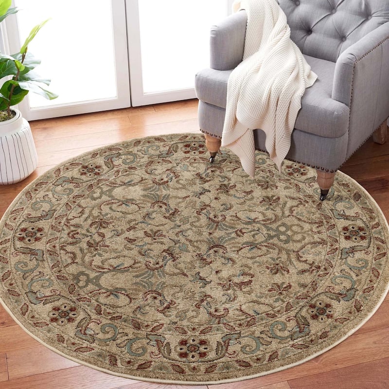 Superior Heritage Traditional Floral Scroll Indoor Area Rug
