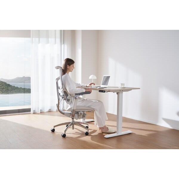 Sihoo D03 Office Desk, Height-Adjustable Standing Desk - Bed Bath