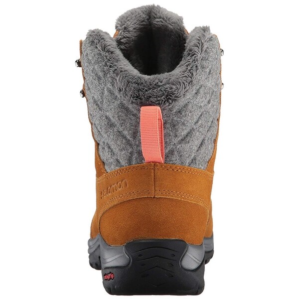 salomon ellipse winter gtx