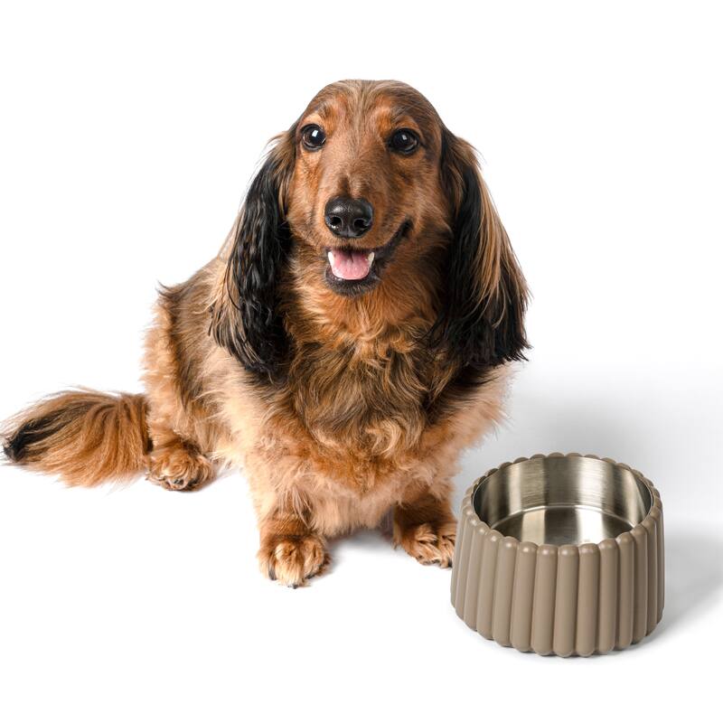 Intersecta Concrete & Steel Pet Feeder - 16oz with Metal Stand - Brown