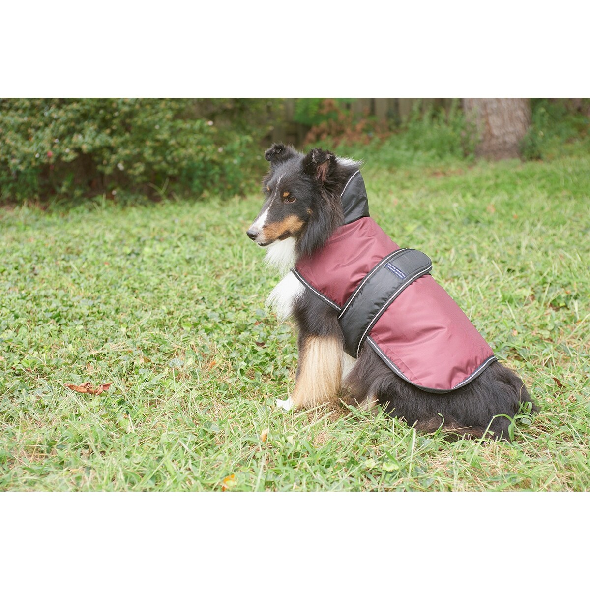 Shop Burgundy Extra Small Dog Artic Coat Free Shipping On Orders Over 45 Overstock 20332792