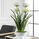 preview thumbnail 4 of 2, Uttermost 60221 Purity Agapanthus 30" Wide Faux Flowers Potted