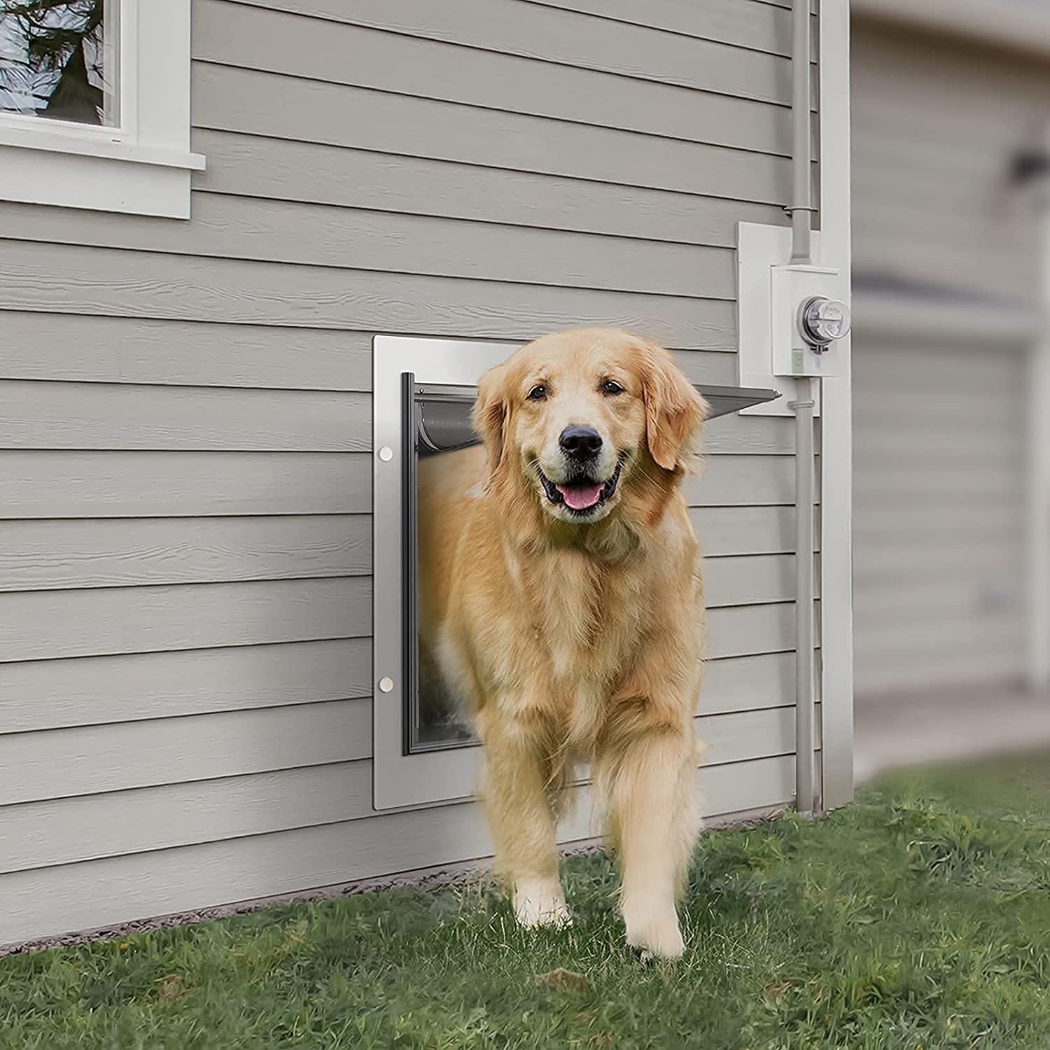 Pet Door for Wall Steel Frame and Telescoping Tunnel Dog Door