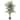 5' Golden Cane Artificial Palm Tree - 6"