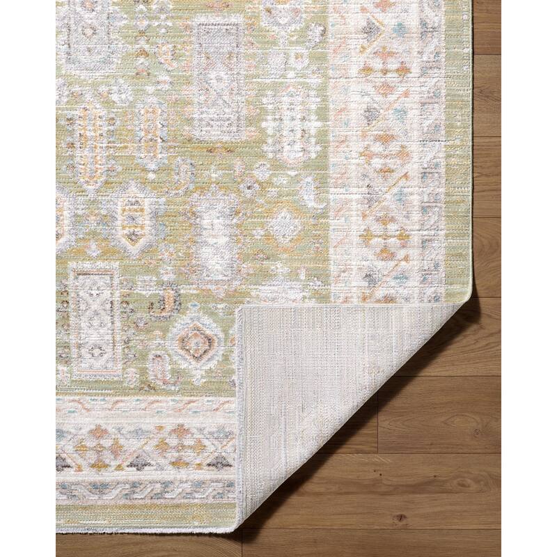 Livabliss Amir Traditional Area Rug